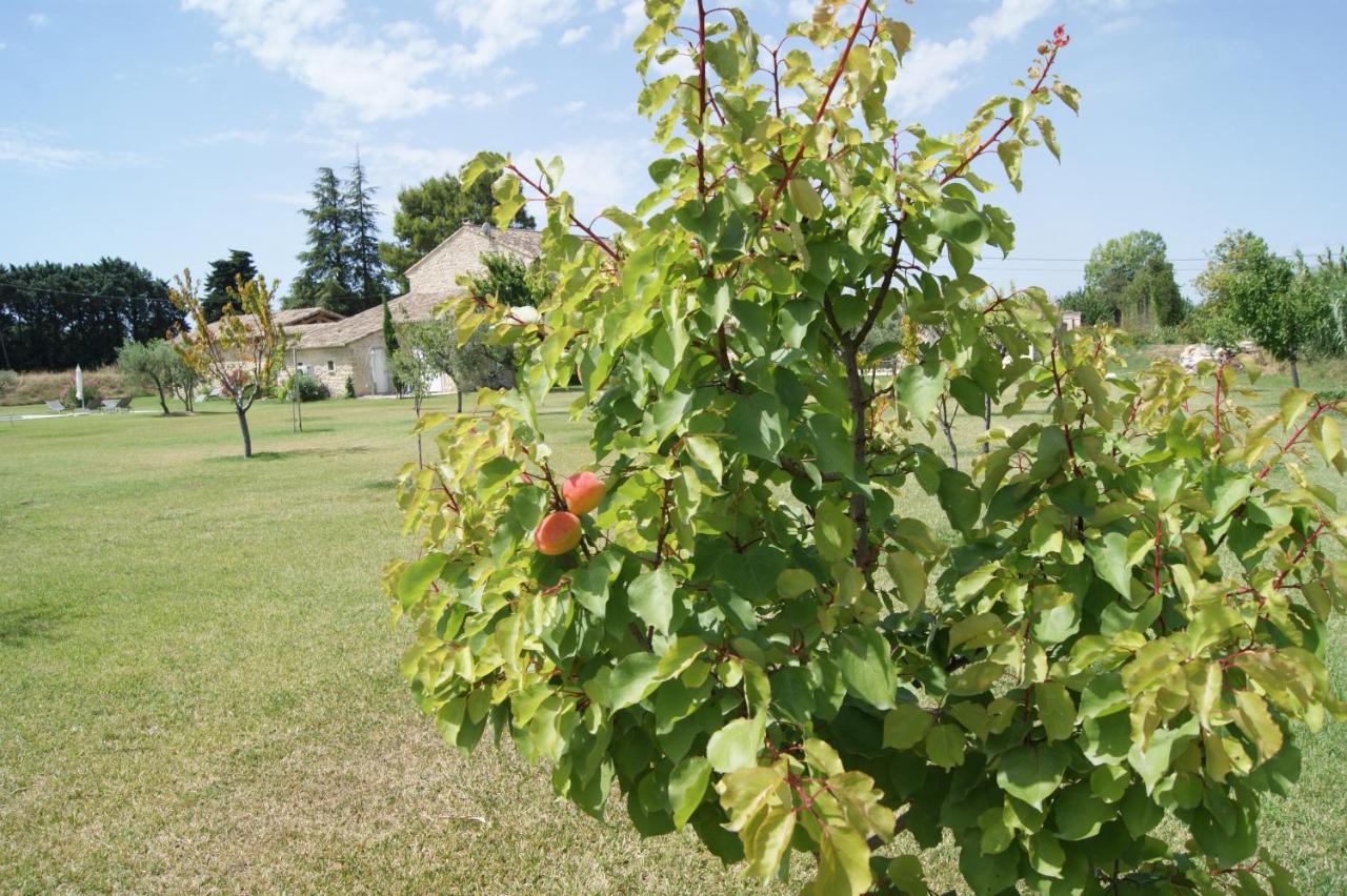 B&B Dans Mas En Pierres Robion en Luberon Экстерьер фото