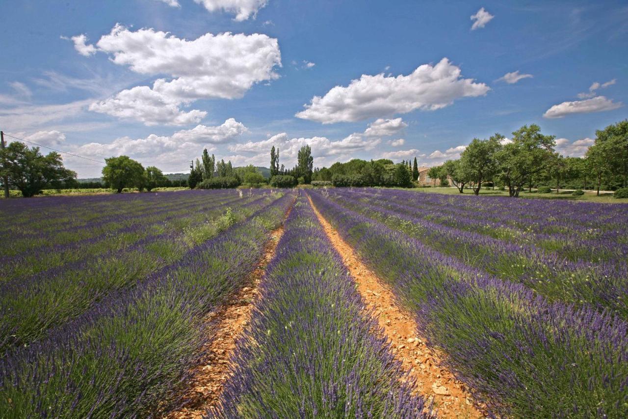 B&B Dans Mas En Pierres Robion en Luberon Экстерьер фото